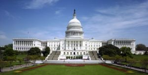    Фото: twitter.com Ирина Мудрых