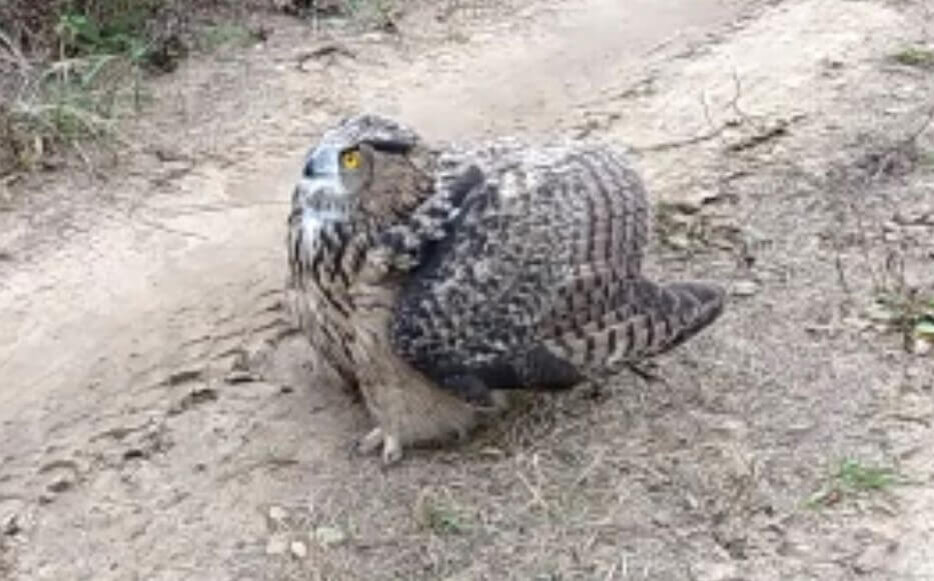    Фото: пресс-служба Росприроднадзора