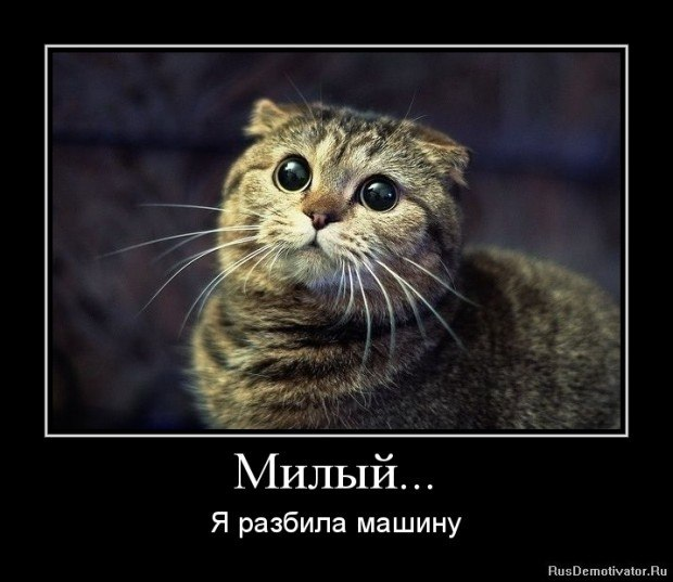 Невозможно устоять перед этим обаянием