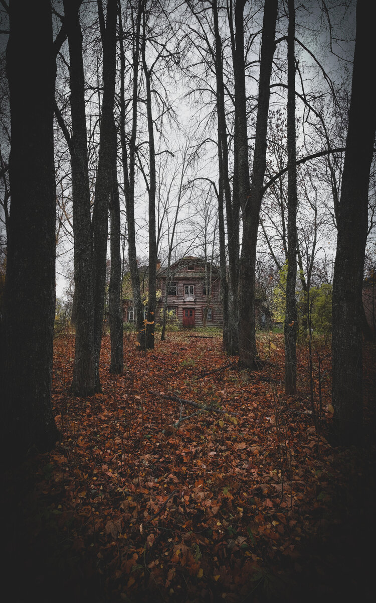 Главный усадебный дом. 