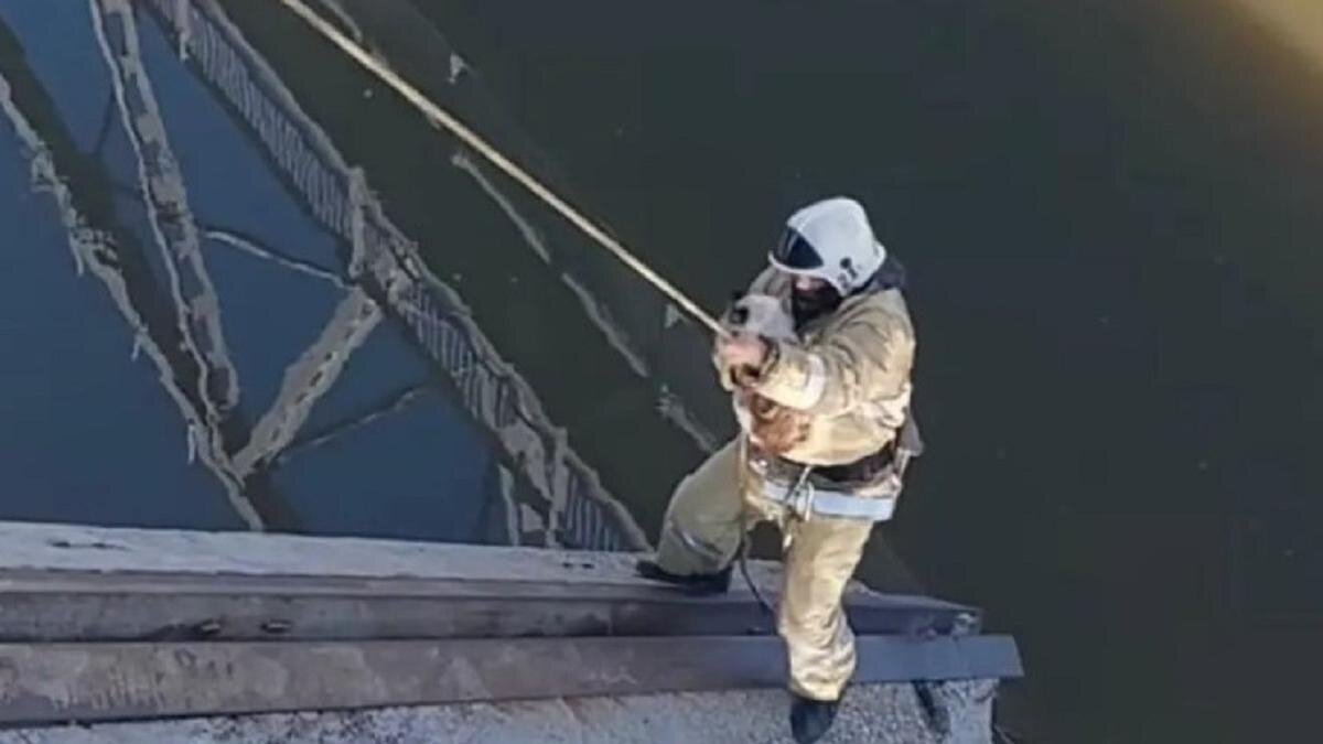    Спасатель со спасенной кошкой:instagram.com/shygysqaz_tjd