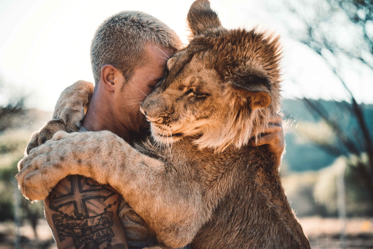 Источник фото: pinimg.com