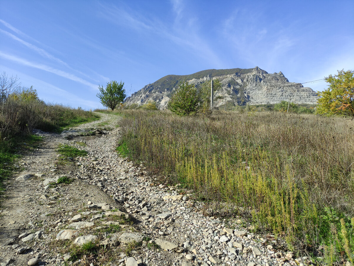 Гора змейка скамейка каменная