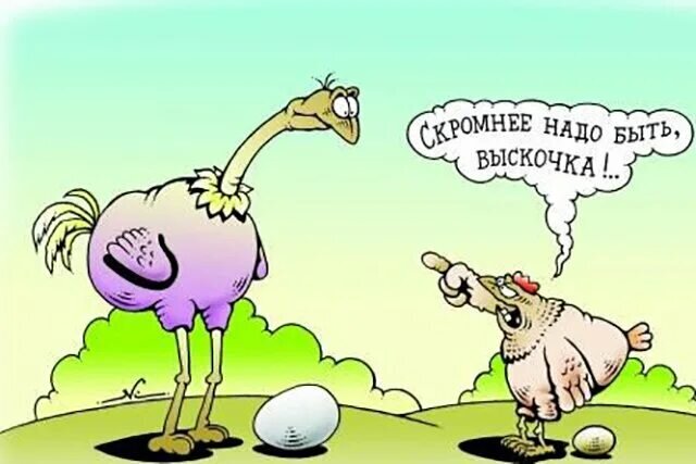 Картинка из интернета