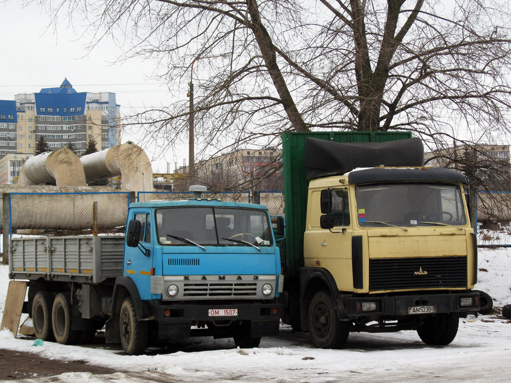 Камаз 65115 и маз. Маз кат с2021. Грузовик маз 5516. Легковые маз и камаз. Камаз vs маз.