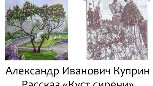 Рисунок к рассказу куст сирени