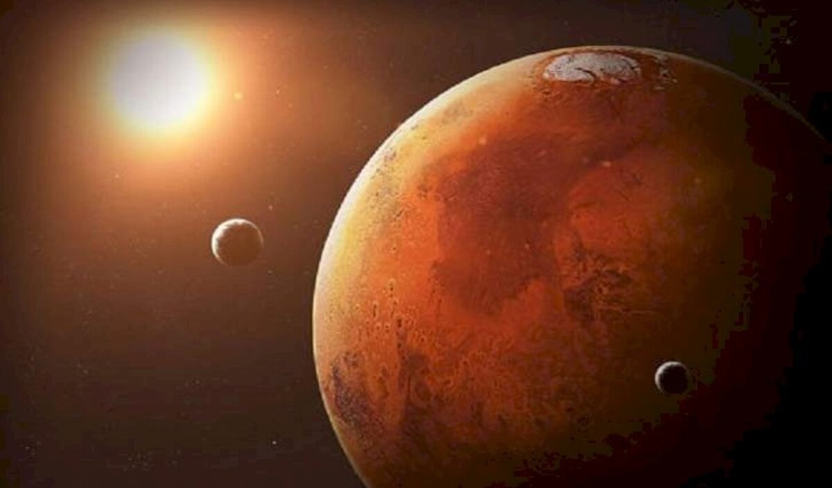 Фото: pexels.com