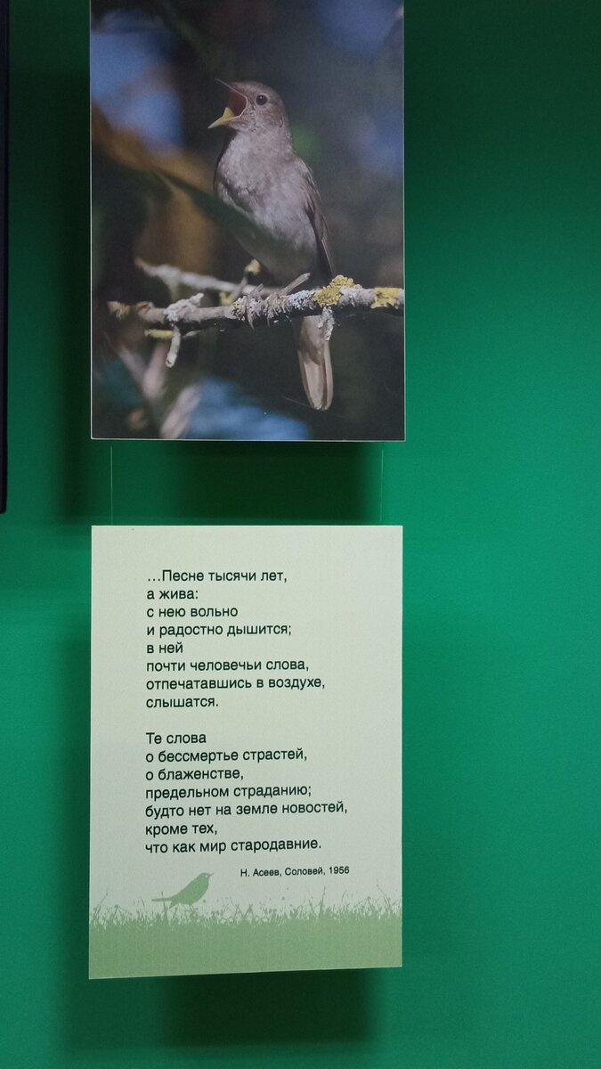 Фото из музея "Курский соловей"