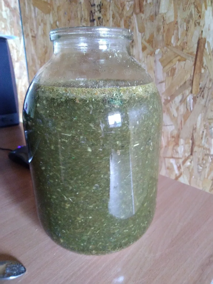 Абсент в период первичного настаивания