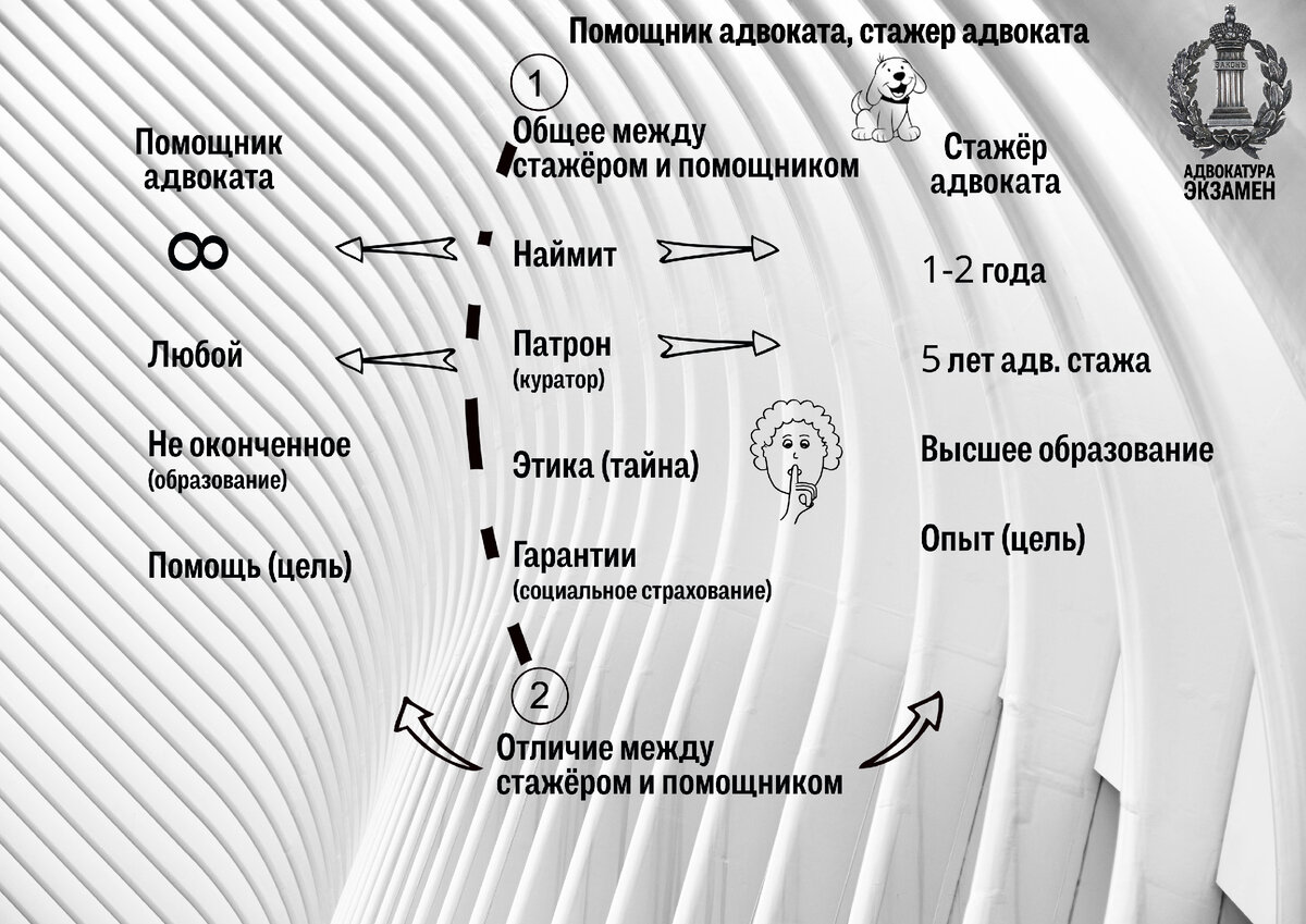 5. Помощник адвоката, стажер адвоката: понятие, статус. Особенности  трудовых отношений. | Роман Мельниченко | Дзен