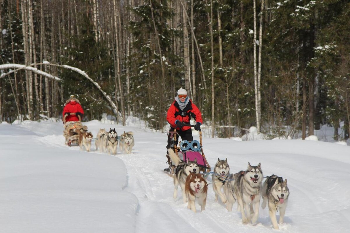 карелия парк 3. трэвел-хижины в «karjala park», карелия. карьяла парк. карьяла парк петрозаводск. карьяла парк петрозаводск.