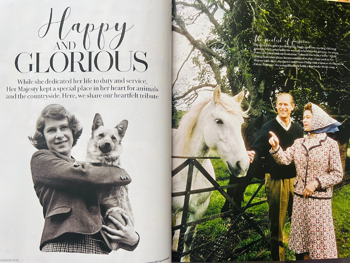 Счастливая и прославленная. Фотографии из журнала "Деревенская жизнь", ноябрь 2022 год. 