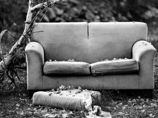     Фото: ru.freepik.com