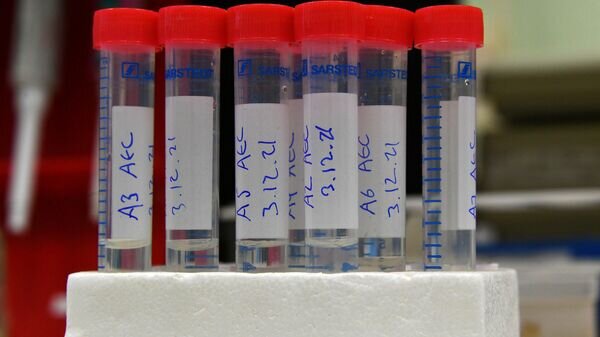   © Sputnik / Виктор Толочко