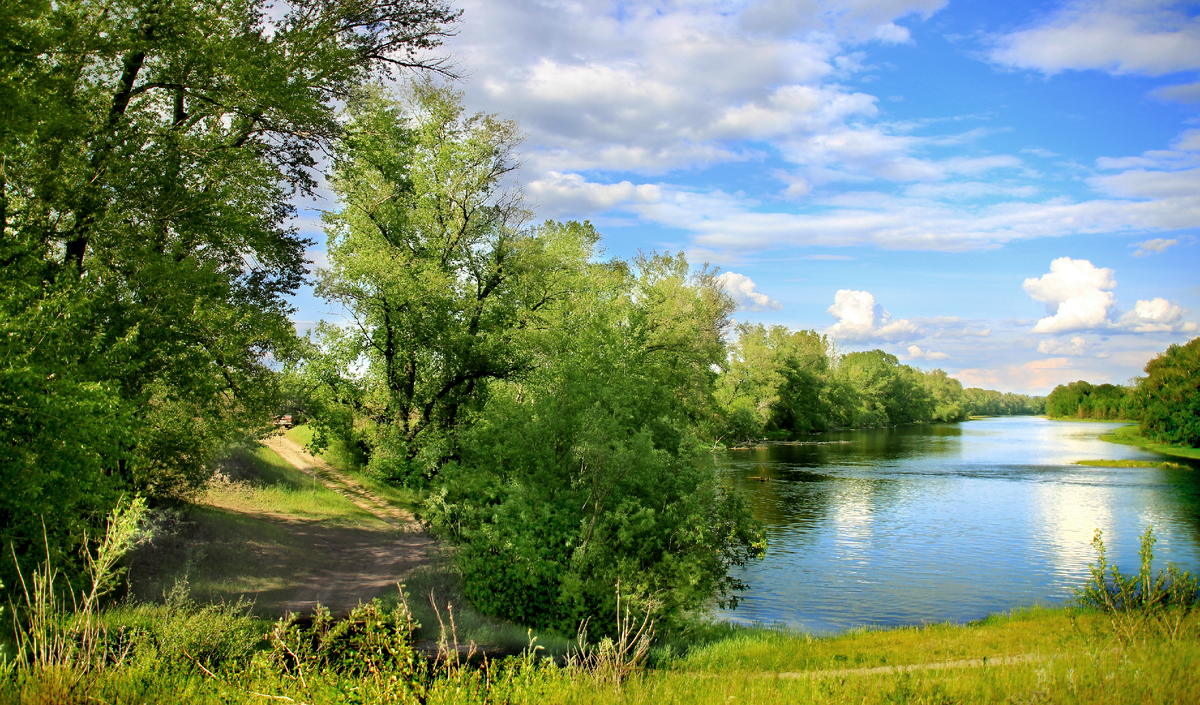 Вода едва блестела в реке. Сверкающая река. Обои на рабочий стол Волга река. Ясный день фото. Речка блещет вдали серебряной полосой и манит своей прохладой ⁴.