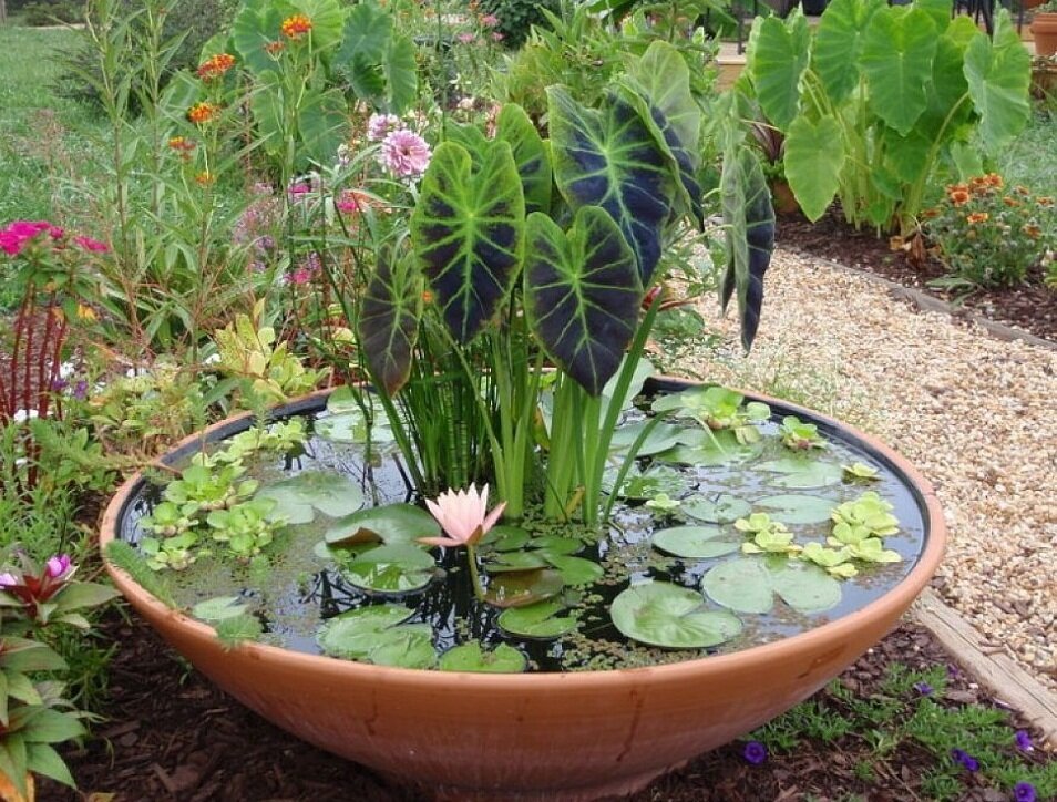    Водоем в саду не обязательно должен быть большим!