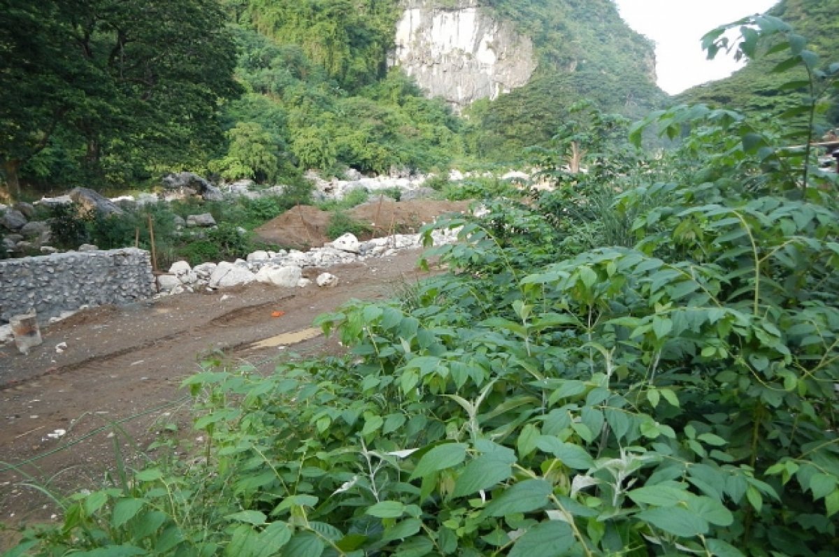    На Филиппинах в результате шторма «Налджи» погибли 160 человек