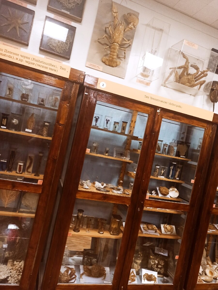 Больше фото: https://vk.com/russia_country_of_scientists?z=album-181715945_287968704