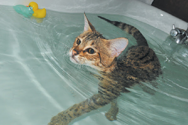 Фото из Интернета.