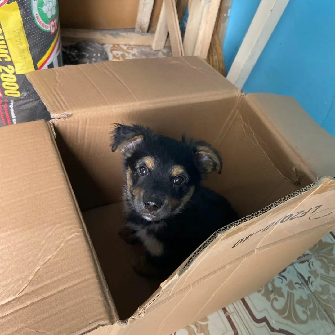 Фото из интернета