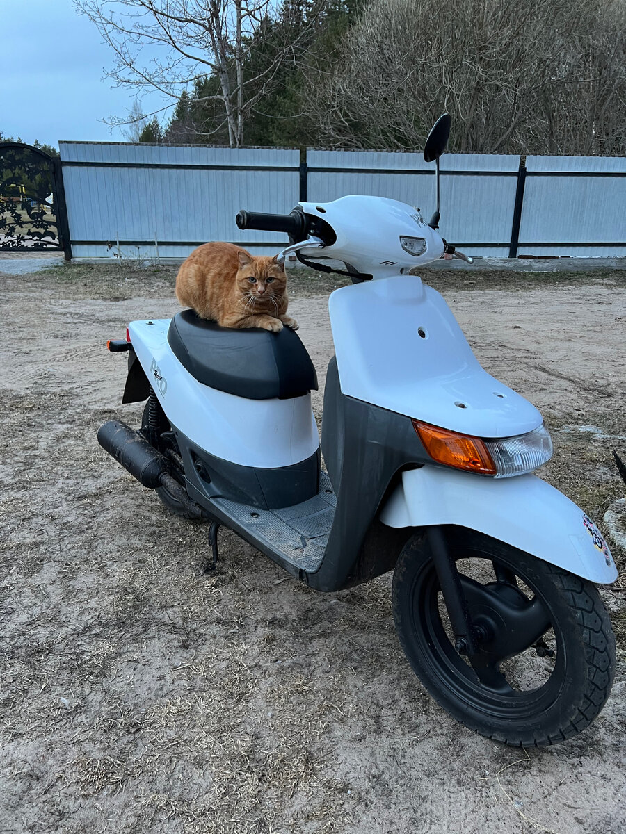 Привет 👋🏼 Не забудь пожалуйста подписаться 😼
