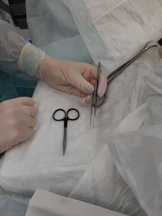     Фото: архив "МК в Калуге"