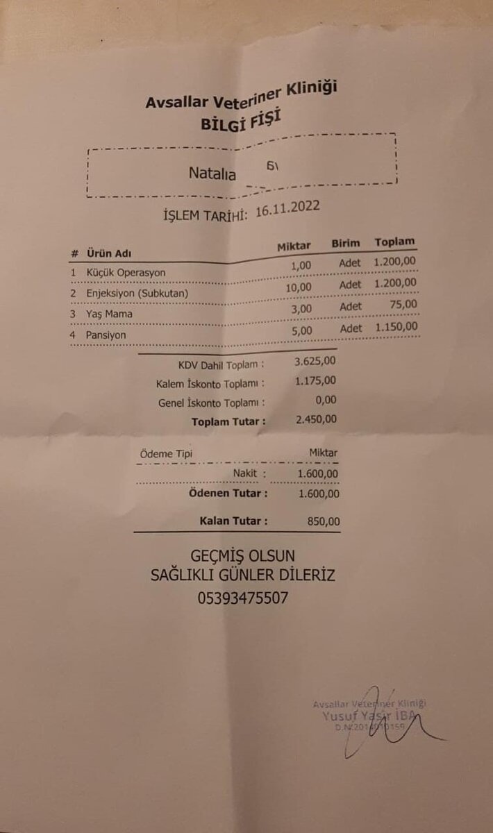 Счёт из ветеринарной клиники. (Здесь и далее все фото и скриншоты мои).