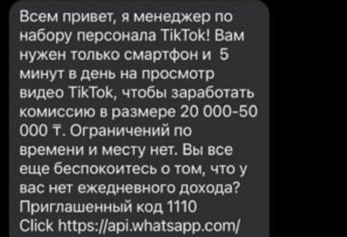    Скриншот из мессенджера:stopfake.kz