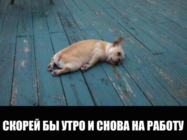 Продуктивной рабочей недели!