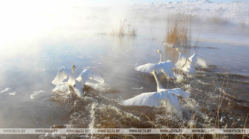    Фото из архива