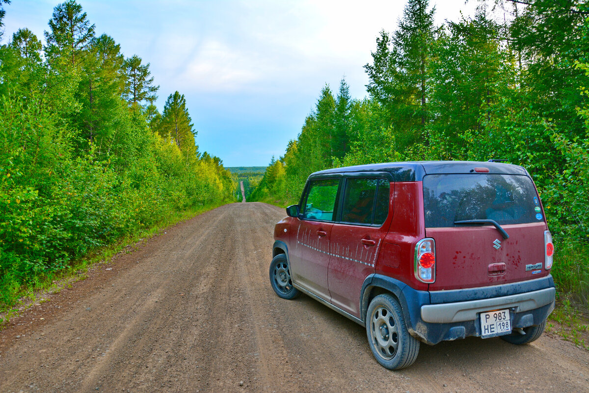 Дорога к Албазину в начале пути. 80 километров лесной дороги. 