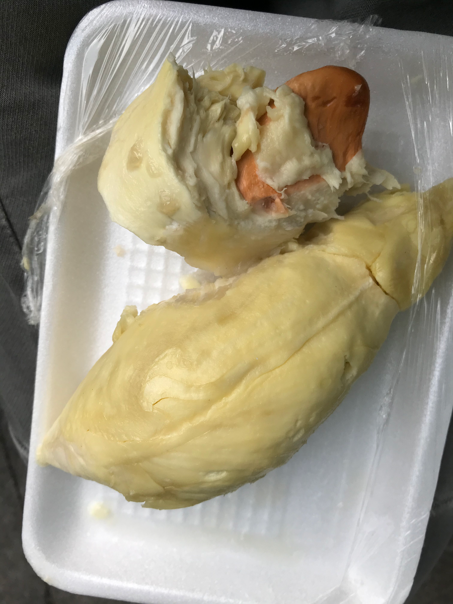 Такое название носит теплолюбивое растение, которое выращивают в странах Азии и Южной Америки. При этом больше всего ценятся плоды, выращенные в Таиланде. 
Что такое дуриан? Дуриан – это большое вечнозеленое дерево с огромными корнями, напоминающими подпорки. Во время цветения на дереве появляются красивые белые или красные цветы, опыляемые пчелами и летучими мышами.

Дуриан дерево плодоносит довольно крупными плодами весом 3-4 кг, покрытыми острыми колючками огромного размера, как видно на фото дуриана. Плод дуриан отличается толстой оболочкой, а внутренняя часть экзотического фрукта разделена на 5 отсеков, заполненных мякотью желтого или желто-красного цвета с крупными косточками. На этом особенности дуриана не заканчиваются. Самое интересное, что неприятный запах дуриана снаружи скрывает великолепный вкус внутри.