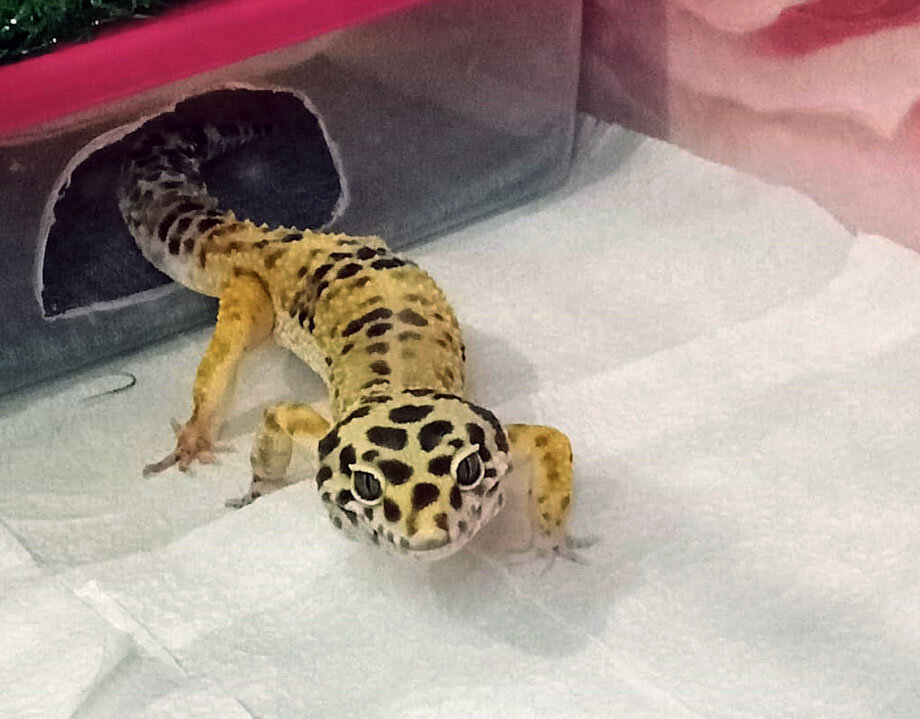 Фото предоставлено Людмилой Милевской