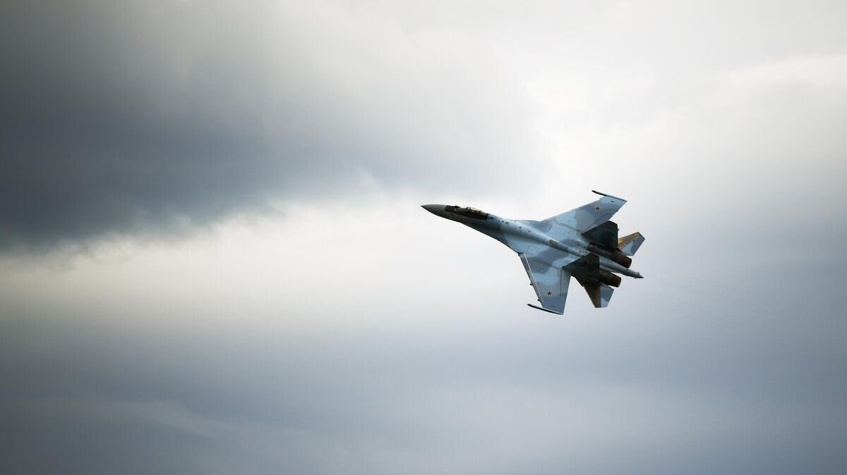    Самолет Су-35С на Международном военно-техническом форуме "Армия-2019" в конгрессно-выставочном центре "Патриот"© РИА Новости / Евгений Одиноков