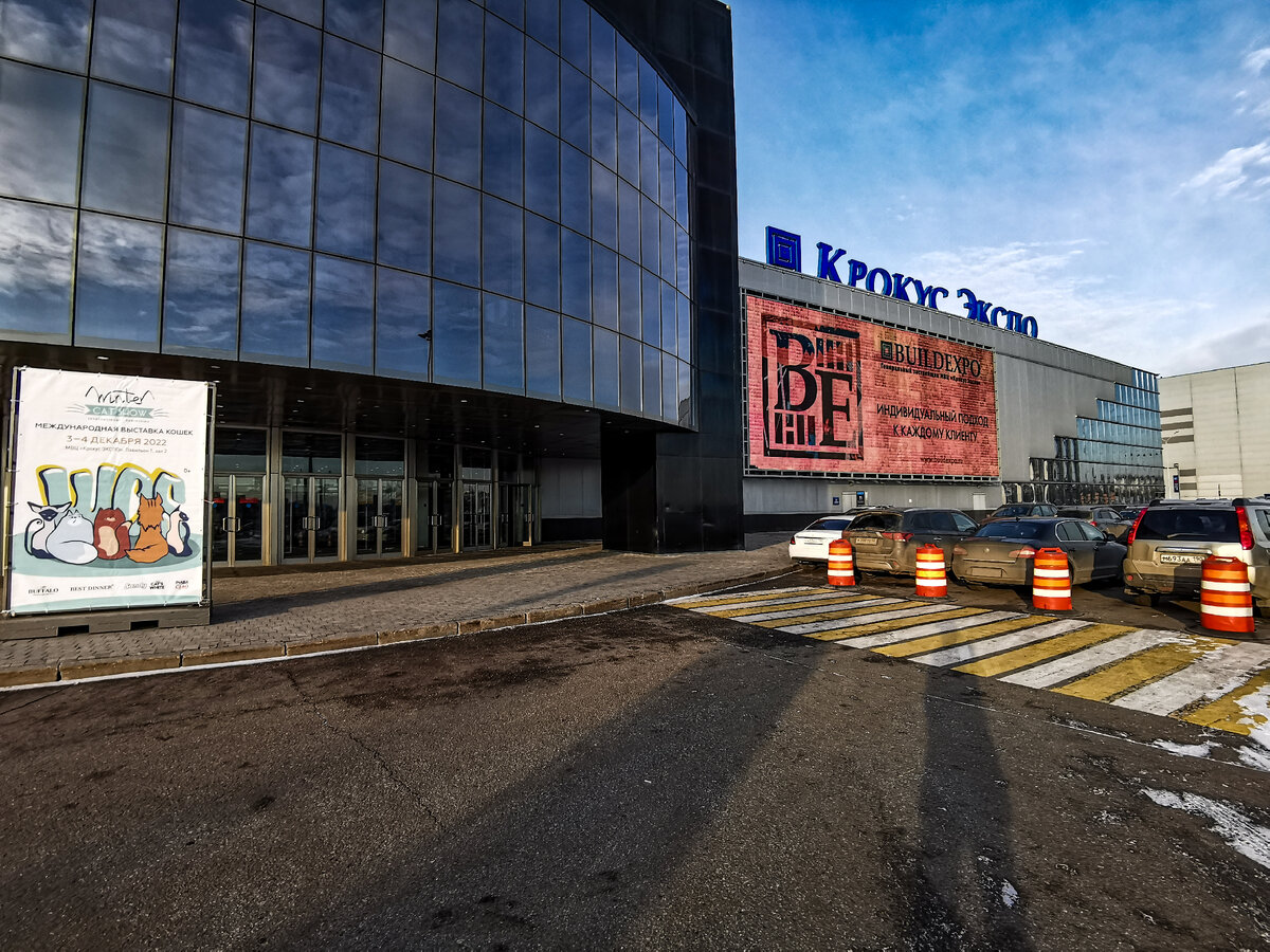 В этом здании проходила выставка кошек Winter Cat Show.