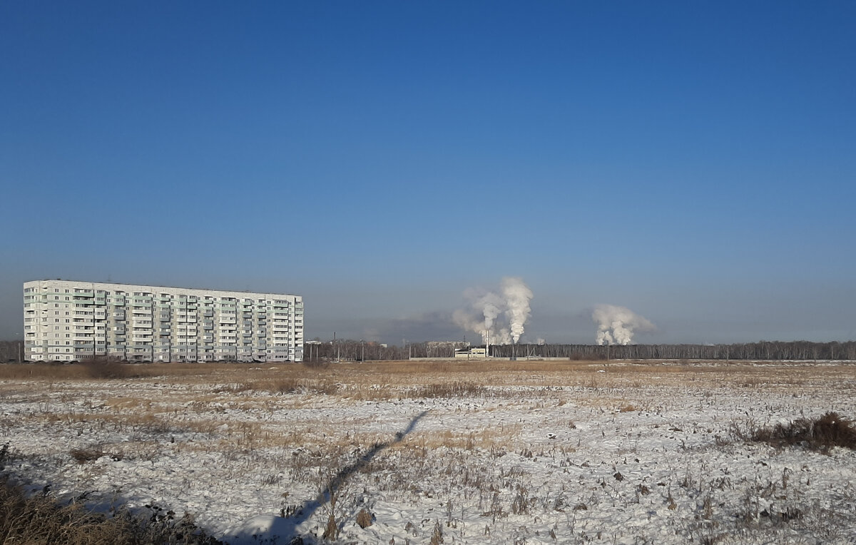    Омск  Алексей Петров/ТАСС