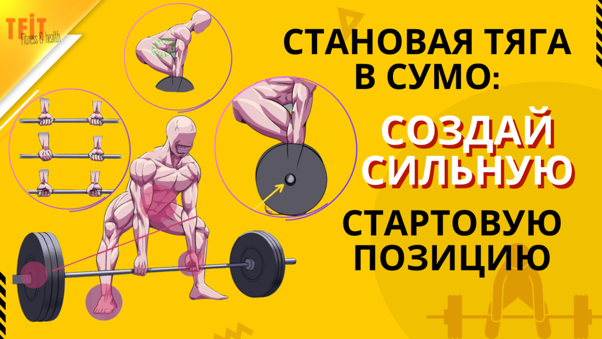 становая сумо какие мышцы. тяга сумо со штангой техника. техника становой тяги сумо. становая сумо какие мышцы. тяга сумо мышцы задействованы.