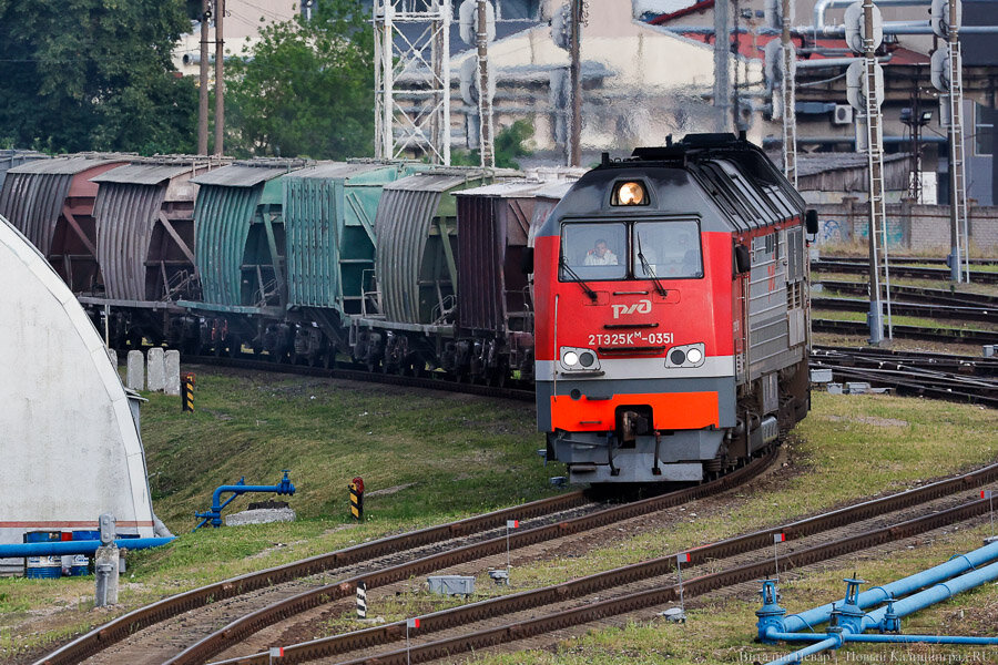 Фото: Виталий Невар / Новый Калининград