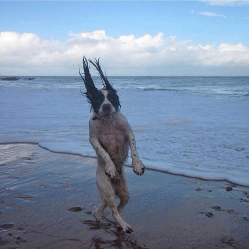 )
