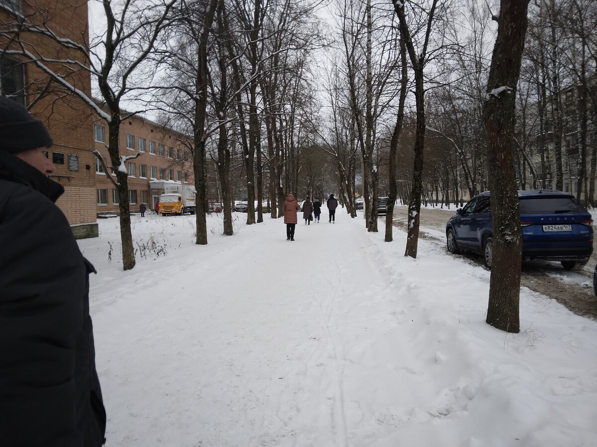 Фото Ирины Одарчук Аллея перед поликлиникой 