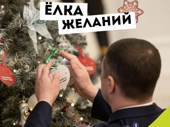     Фото: группа "Доброволец Псковской области" в социальной сети "ВКонтакте"