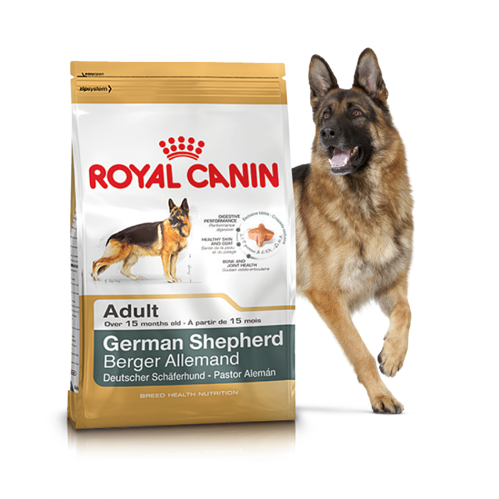 Роял Канин German Shepherd Adult для немецких овчарок. Корм Роял Канин для собак немецкой овчарки. Роял Канин для немецких овчарок 16 кг. Роял Канин для щенков немецкой овчарки.