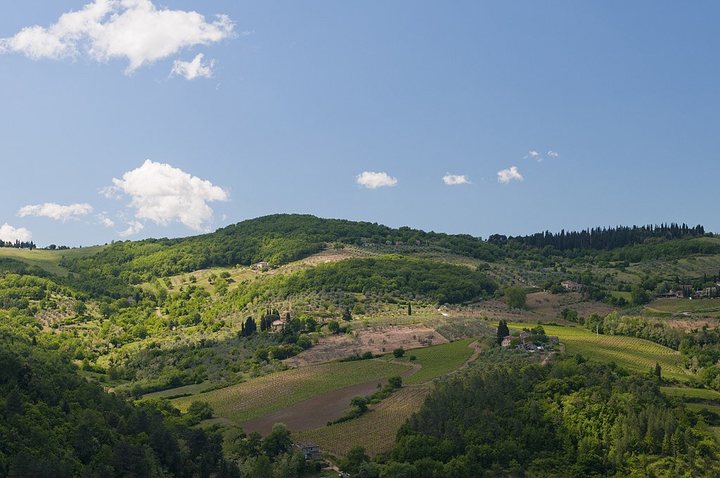 Авторство: Michal Osmenda from Brussels, Belgium. View from Villa Vignamaggio, CC BY-SA 2.0, https://commons.wikimedia.org/w/index.php?curid=24416309. Тоскана, Италия