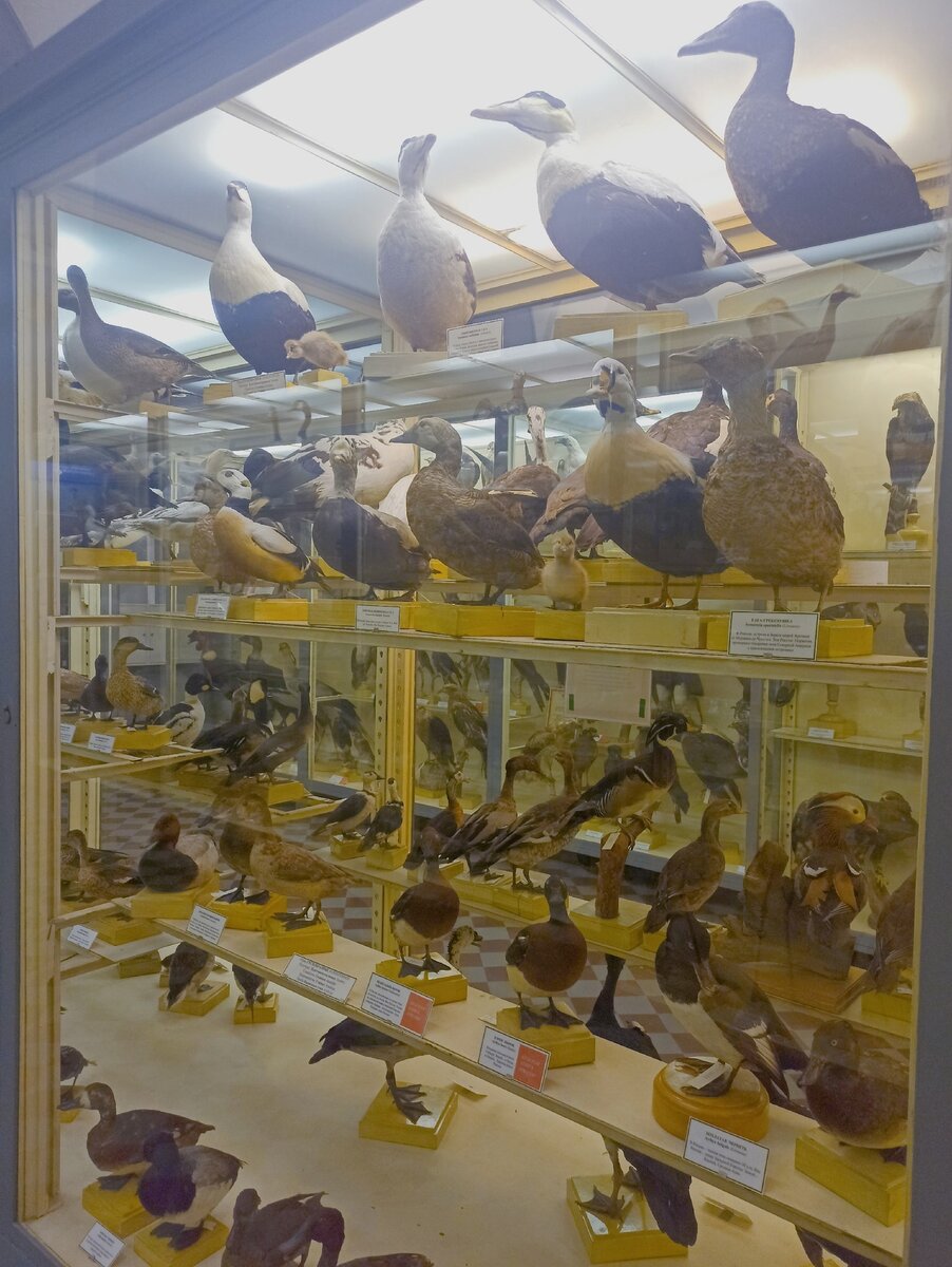 Источник фото: https://vk.com/scientifictravels