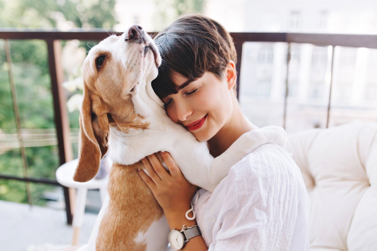 https://www.freepik.com/free-photo/close-up-portrait-pleased-girl-with-short-brown-hair-embracing-funny-beagle-dog-with-eyes-closed_10562428.htm