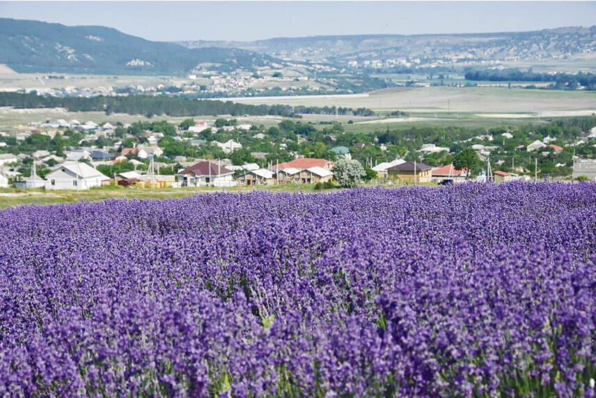Фото: Михаил Гладчук 

