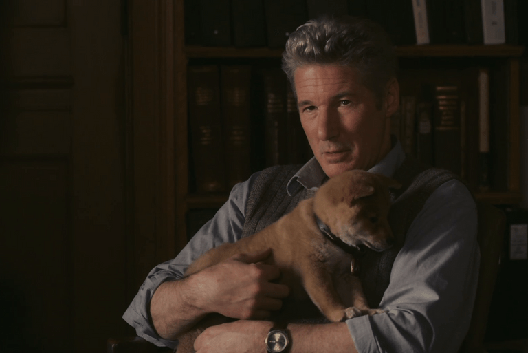 📌Все права на представленные в статье фотографии, принадлежит только их владельцам. Все фотографии взяты из открытых источников📌.