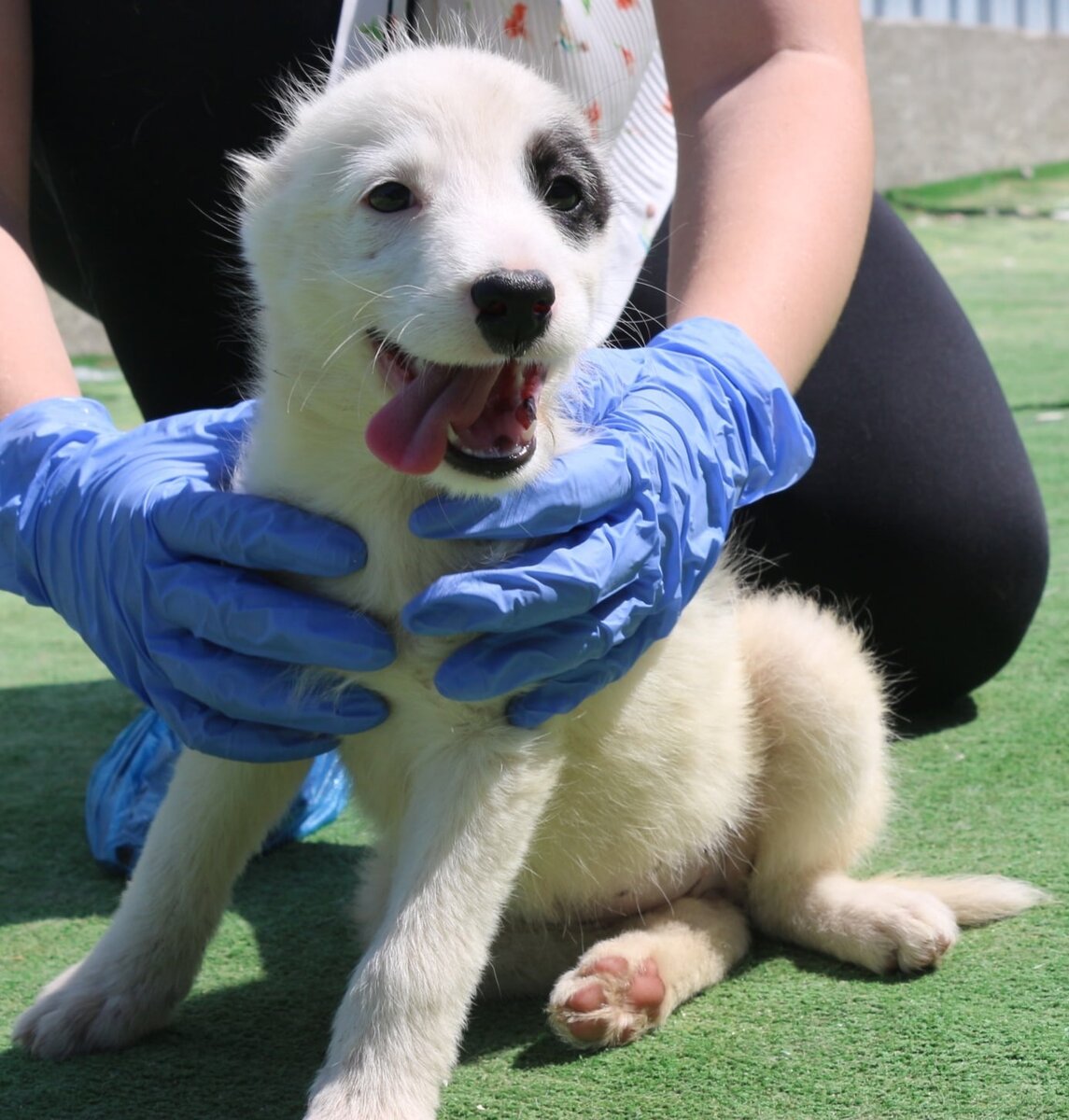 На передержке