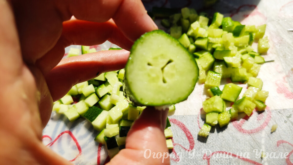 Стоило не полить огурцы два дня