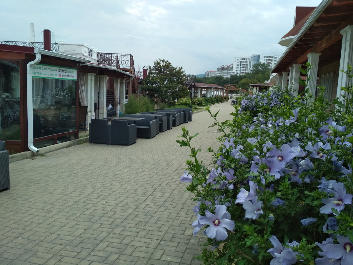 фото автора, Геленджик июль 2021